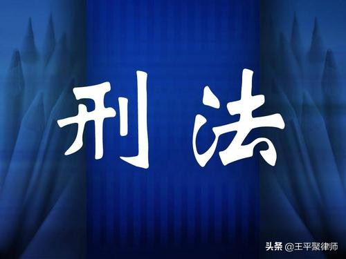 女輔警被判13年罰金500萬是否過重？